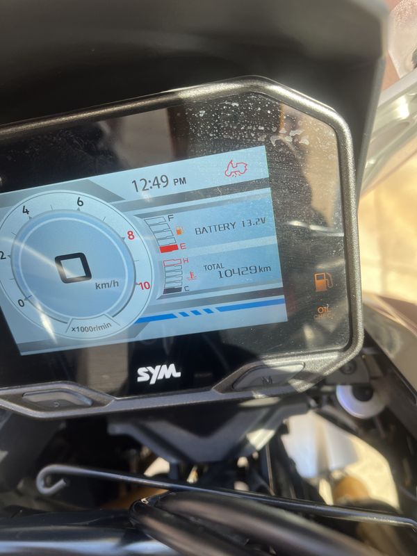 二手三阳剑齿虎 ADXTG