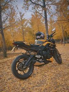 二手凯旋Street Triple 765