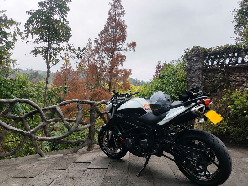 二手贝纳利TNT600i