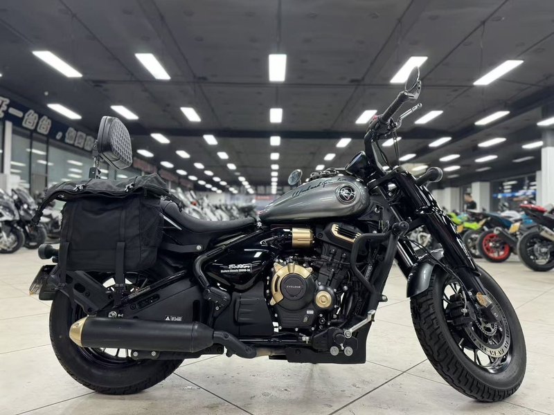 二手赛科龙RA600