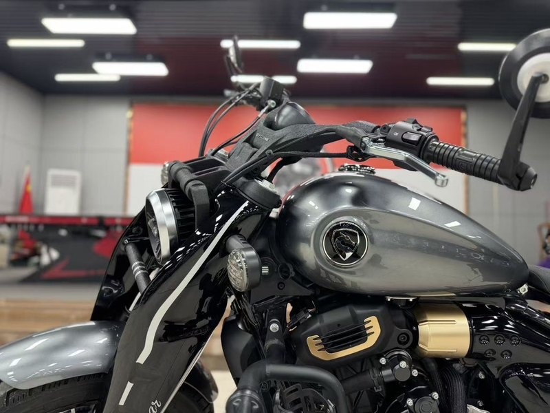 二手赛科龙RA600