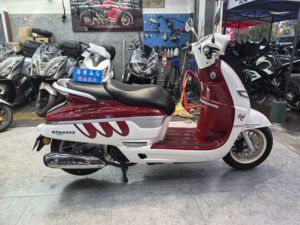 二手南方梦拉丽莎 飞戈