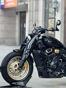 二手赛科龙RA600