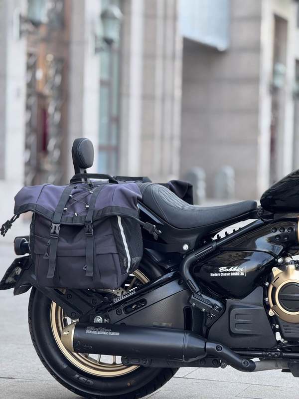 二手赛科龙RA600