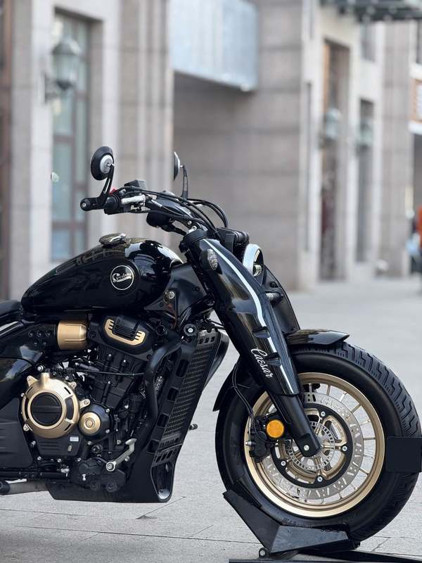 二手赛科龙RA600