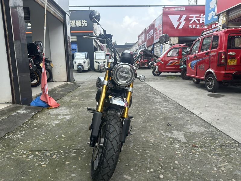 二手斯托纳猿猴