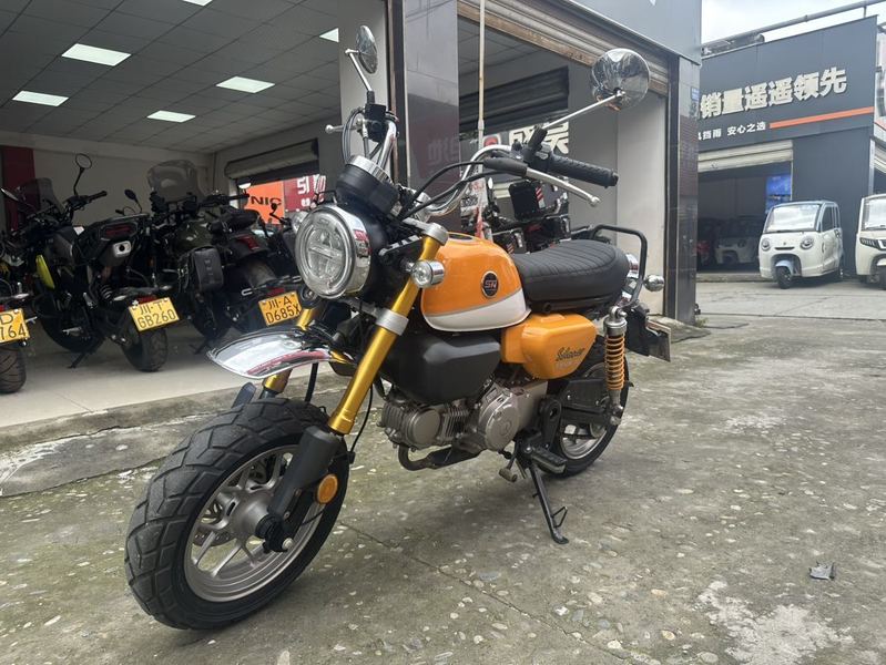 二手斯托纳猿猴