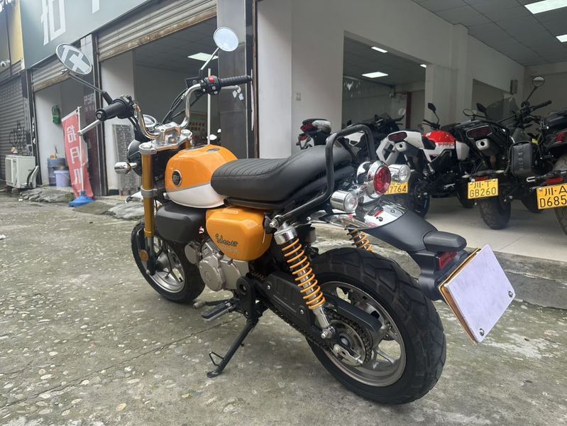 二手斯托纳猿猴