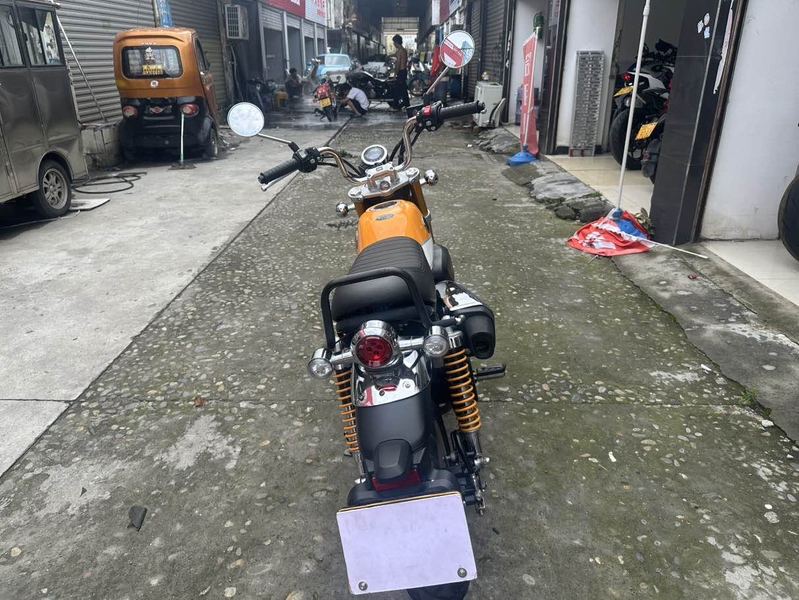 二手斯托纳猿猴