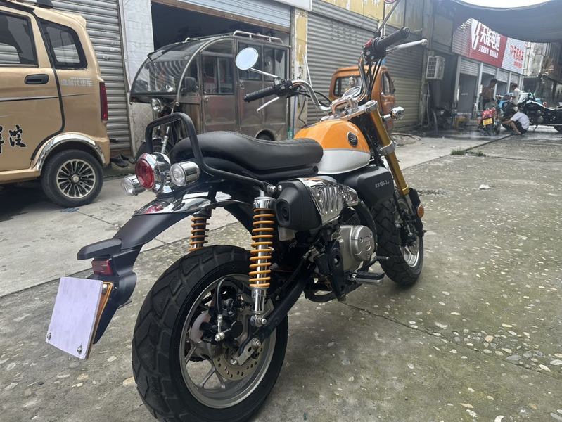 二手斯托纳猿猴