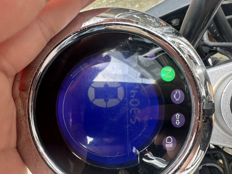 二手斯托纳猿猴