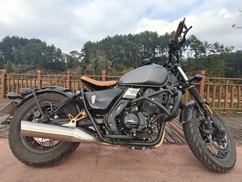 二手长江Bobbie Ⅱ 450S