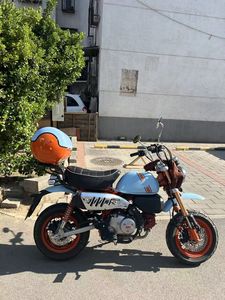 二手斯托纳猿猴