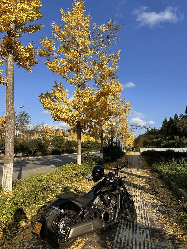 二手奔达黑旗500