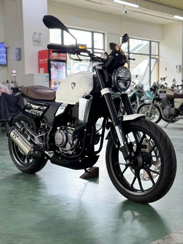 二手赛科龙RE250