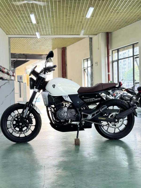 二手赛科龙RE250