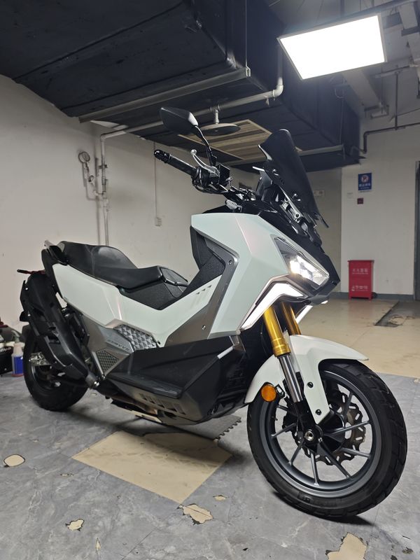 二手三阳剑齿虎 ADXTG