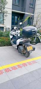 二手猎变闪电狗150