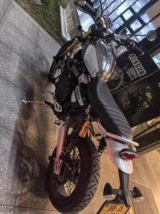 二手凯旋Scrambler 1200