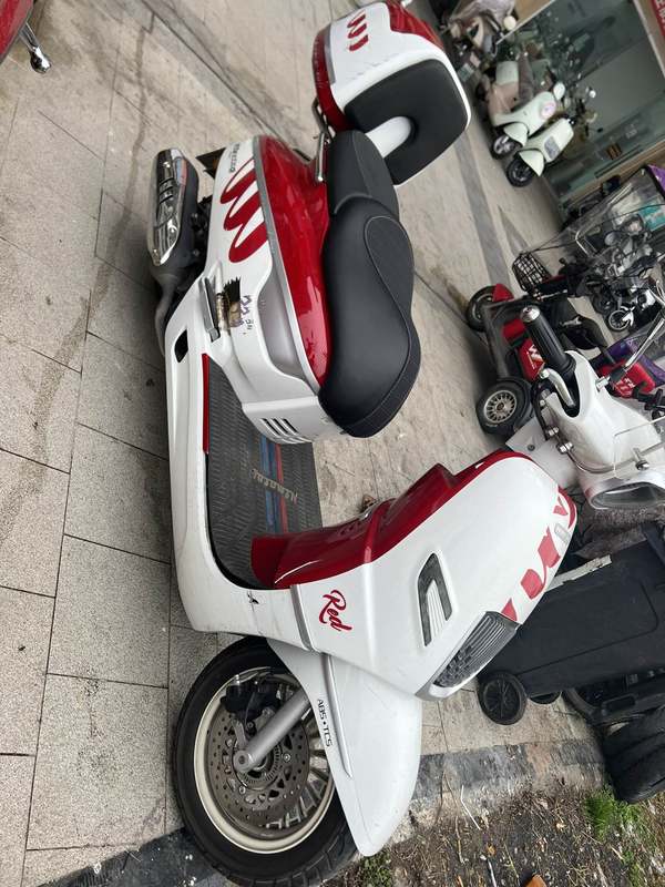 二手南方梦拉丽莎 飞戈