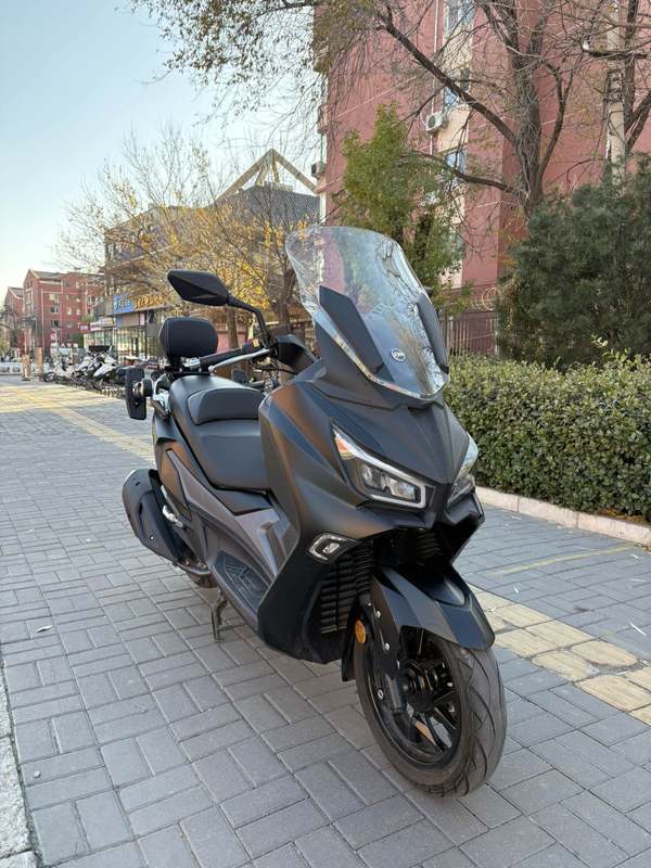 二手三阳Joymax Z 300