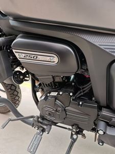 二手赛科龙RA250