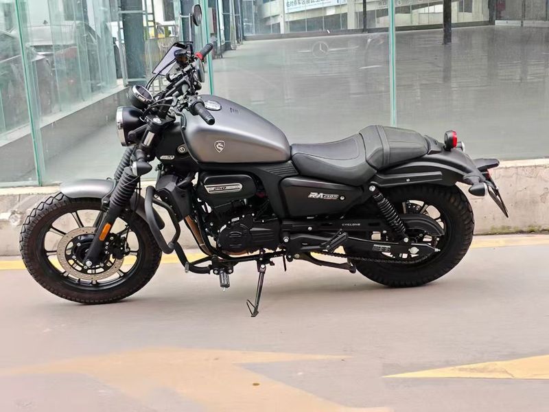 二手赛科龙RA250