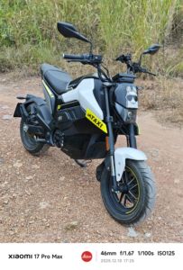 二手春风Papio Nova