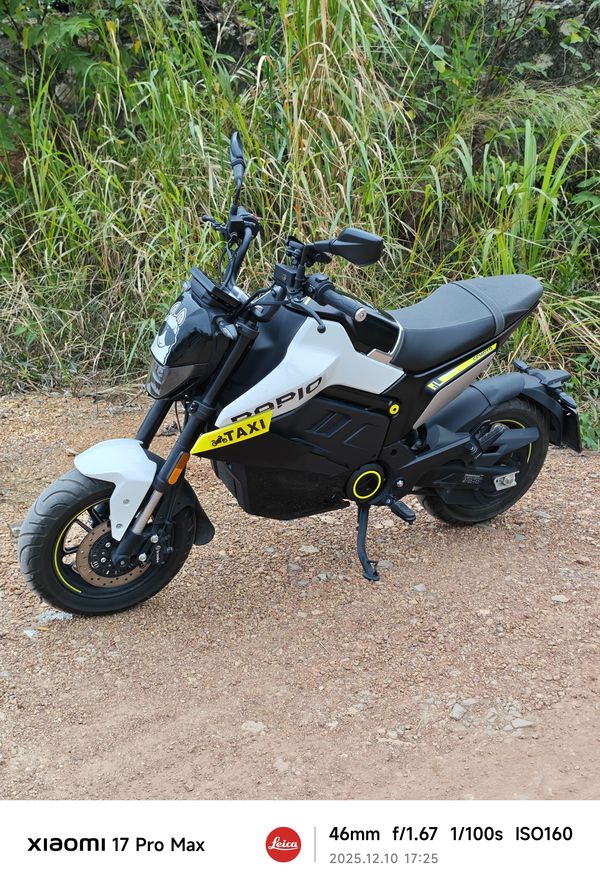 二手春风Papio Nova