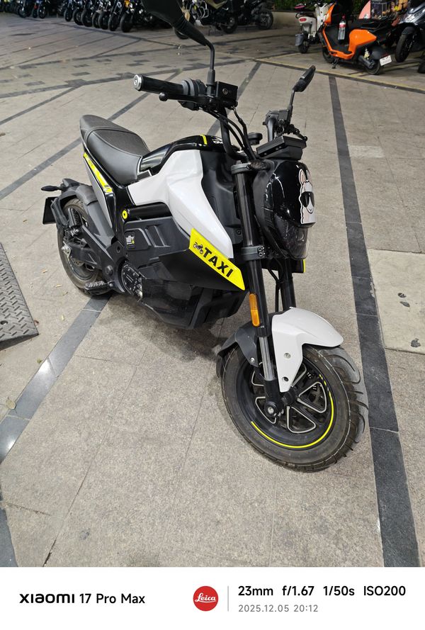 二手春风Papio Nova