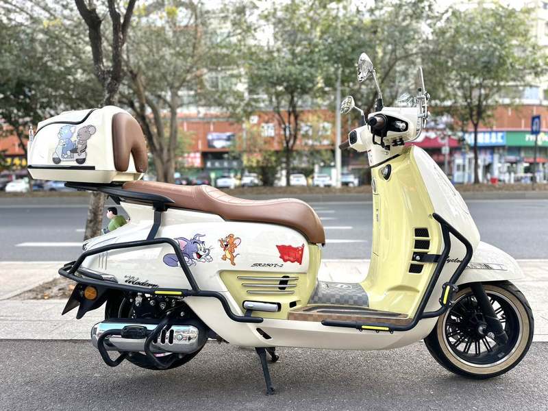 二手赛科龙RT3E 摩登