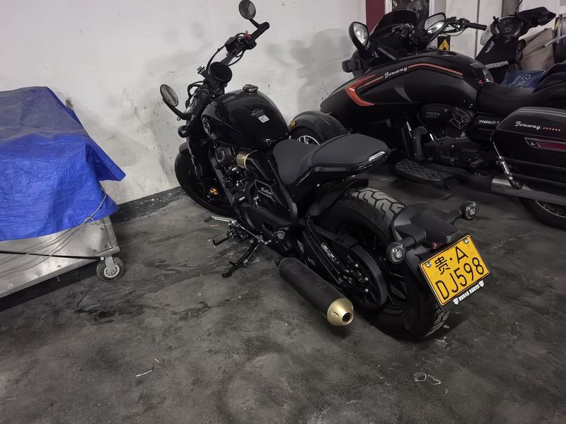 二手赛科龙RA600