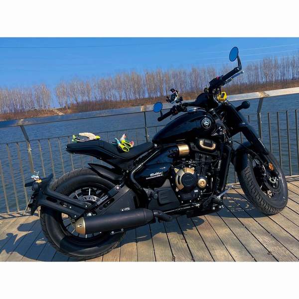 二手赛科龙RA600