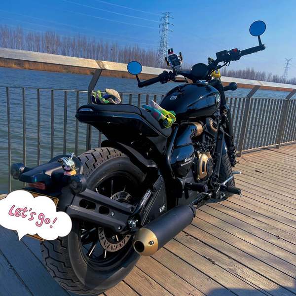 二手赛科龙RA600