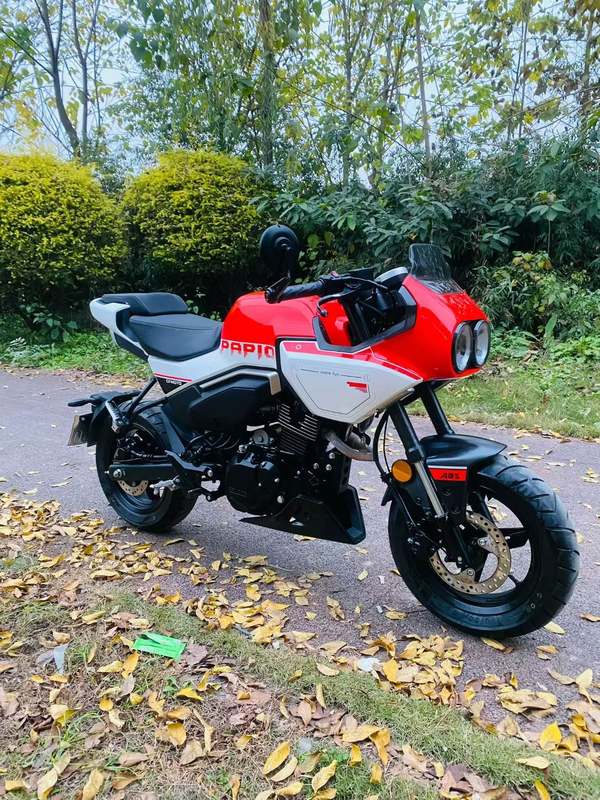 二手春风XO狒狒