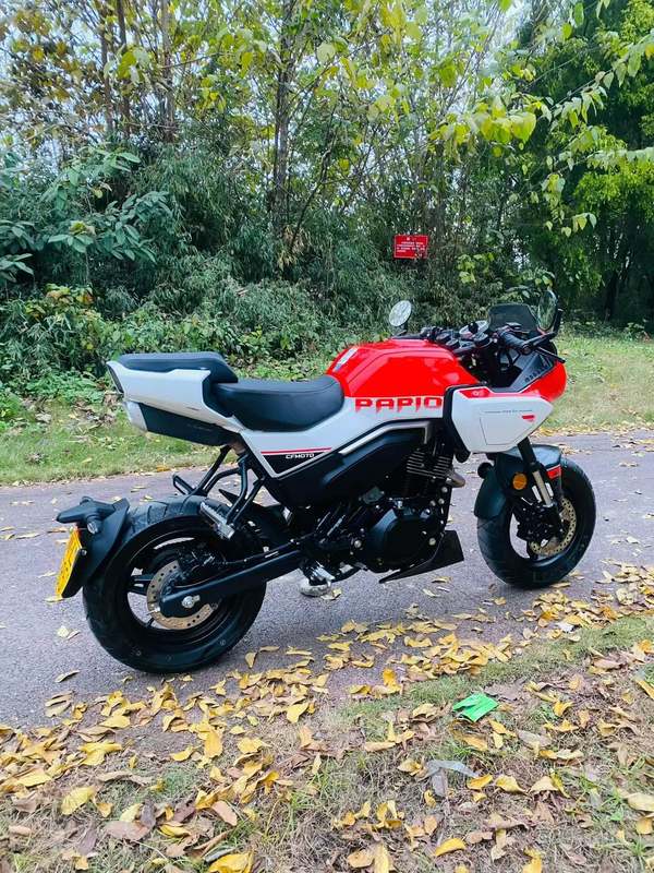 二手春风XO狒狒