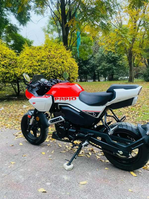 二手春风XO狒狒