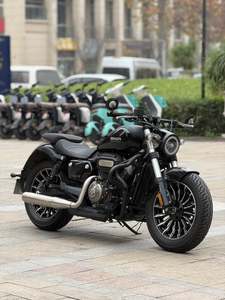 二手奔达Rock300 灰石