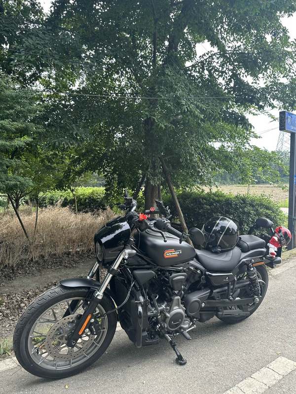 二手哈雷戴维森Nightster