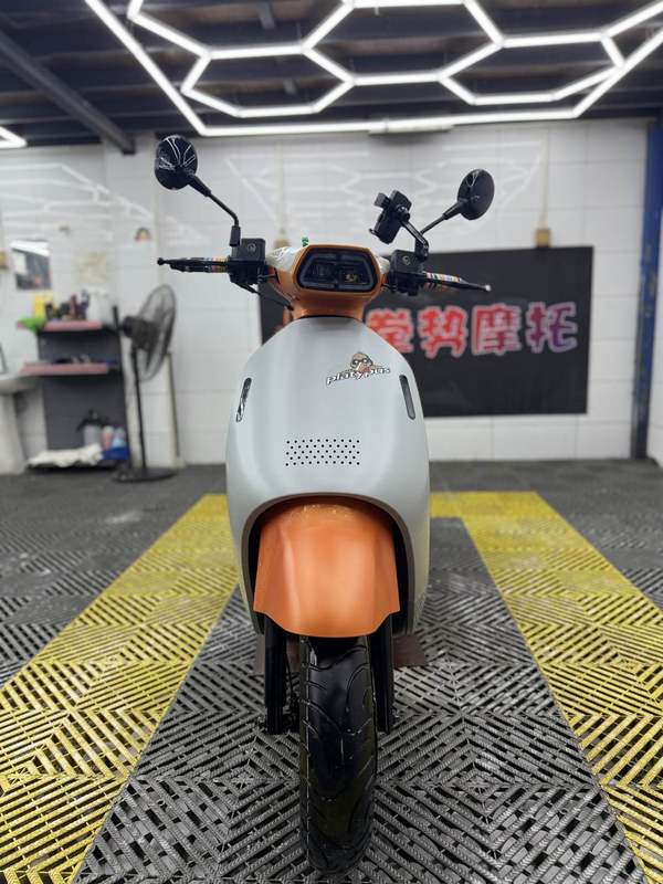 二手阿雷纳鸭嘴兽 Platypus