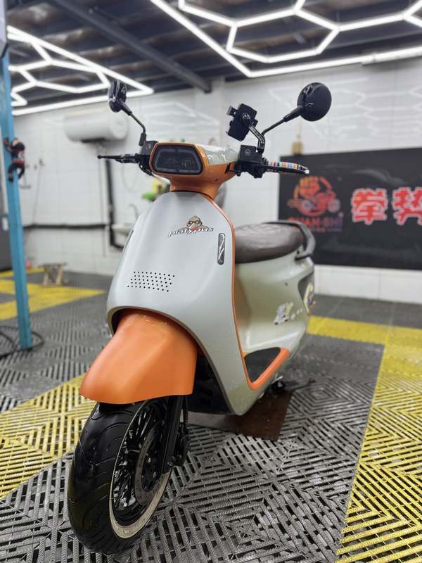 二手阿雷纳鸭嘴兽 Platypus