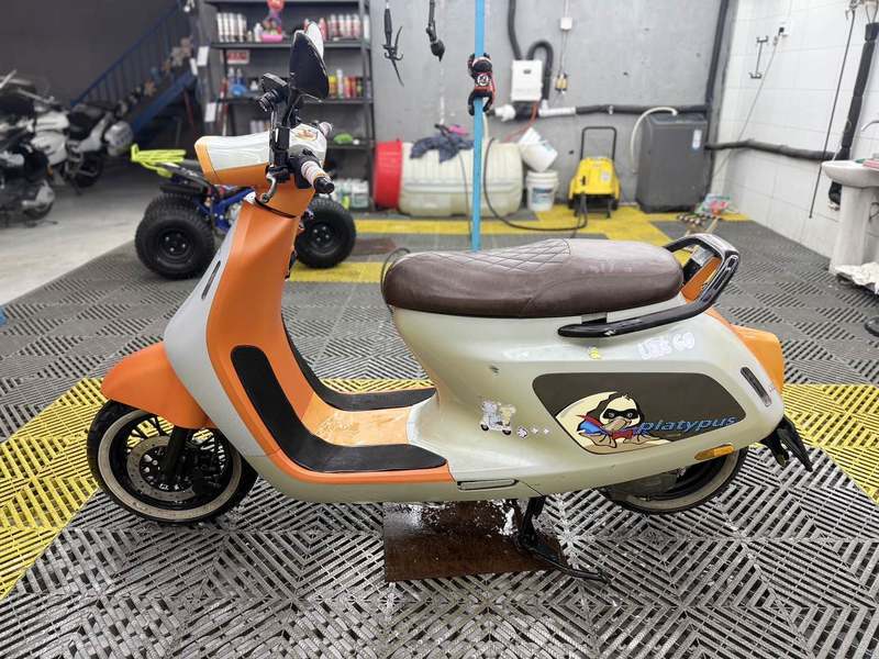 二手阿雷纳鸭嘴兽 Platypus