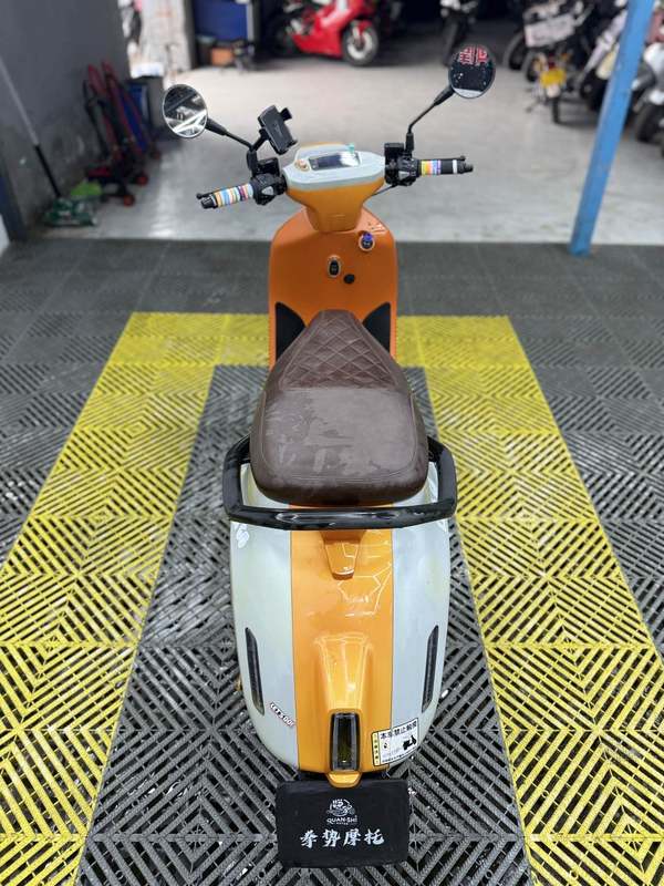 二手阿雷纳鸭嘴兽 Platypus