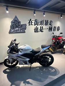 二手雅马哈YZF-R3