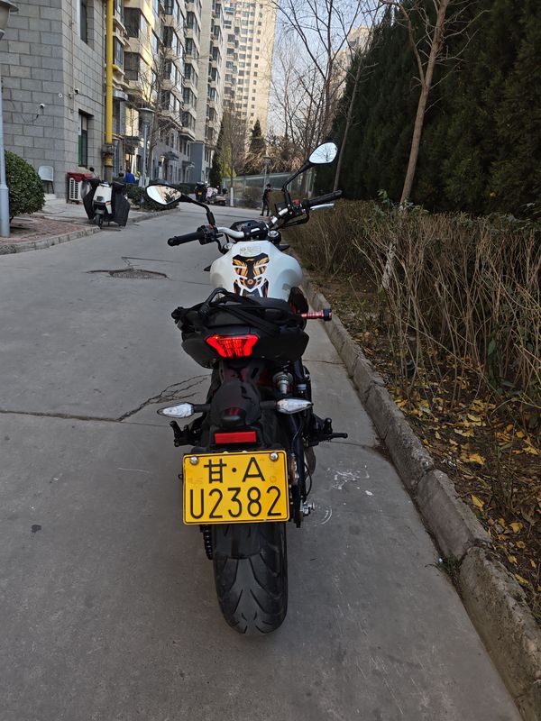 二手贝纳利蓝宝龙 BN302S