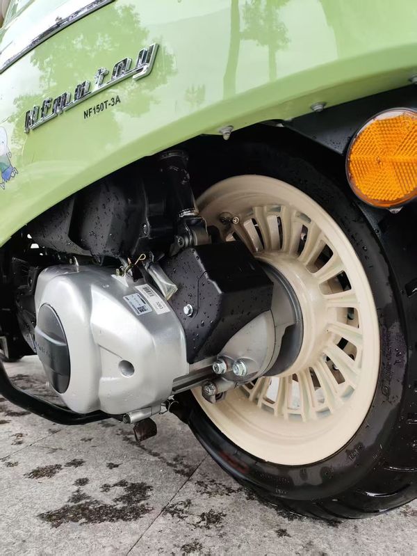 二手南方梦拉丽莎 飞戈