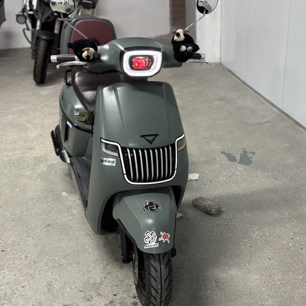 二手南方梦拉丽莎 Melalisa150