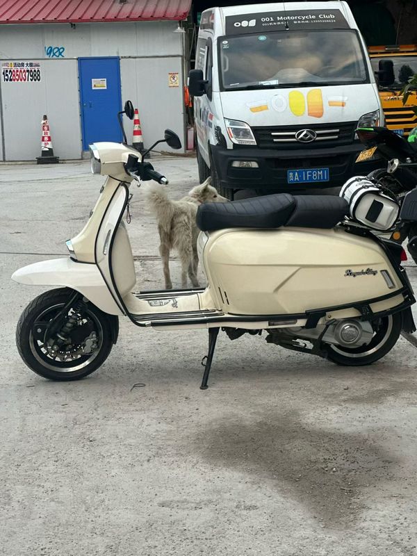 二手ROYAL ALLOYGP150(进口)