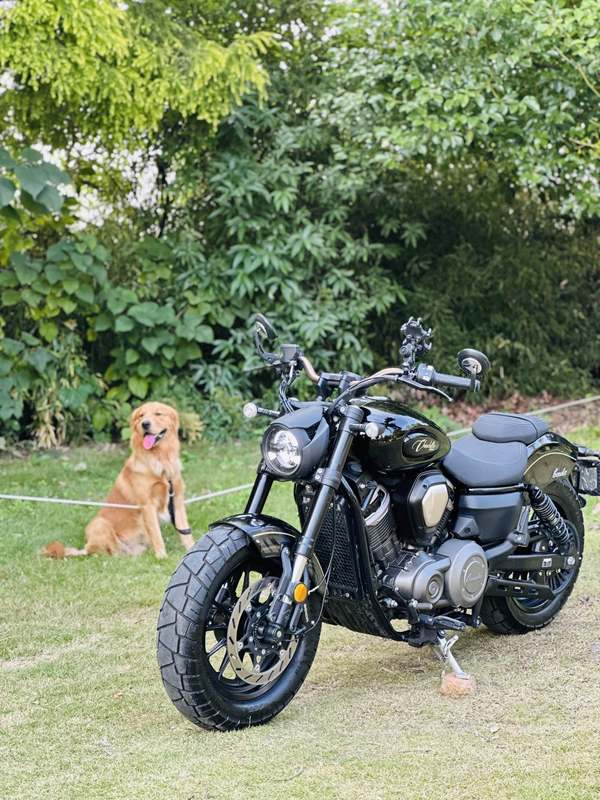 二手奔达金吉拉450