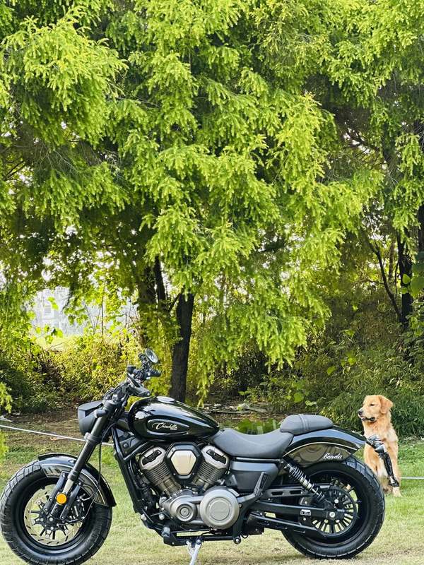 二手奔达金吉拉450